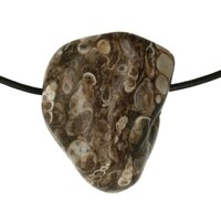 Turitella  agaat doorboord incl koord