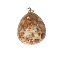 Hessoniet in wollastoniet