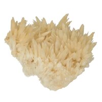 Hondentand of Dogteeth Calsiet  Nieuwe vondst Indonesië