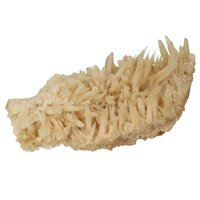 Hondentand of Dogteeth Calsiet  Nieuwe vondst Indonesië