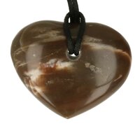 Versteend hout  doorboord incl koord