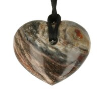 Versteend hout  doorboord incl koord