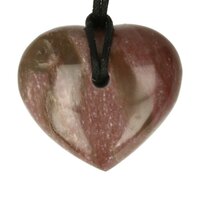 Versteend hout  doorboord incl koord