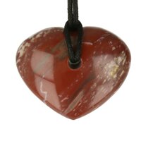 Versteend hout  doorboord incl koord