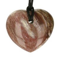 Versteend hout  doorboord incl koord