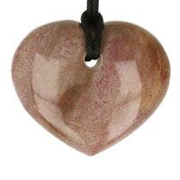 Versteend hout  doorboord incl koord