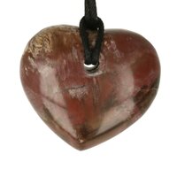 Versteend hout  doorboord incl koord