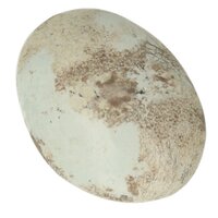 Turkoois/ Chrysocolla uit Madagaskar