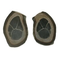 Septarie sjamaansteen