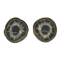 Septarie sjamaansteen