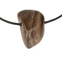 tygerijzer doorboord + koord