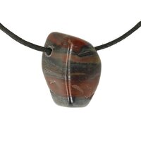 tygerijzer doorboord + koord