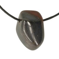 tygerijzer doorboord + koord