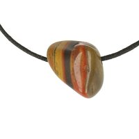 tygerijzer doorboord + koord