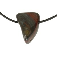 tygerijzer doorboord + koord