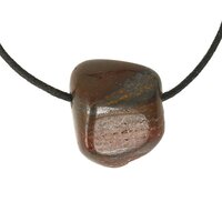 tygerijzer doorboord + koord