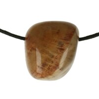 Versteend hout  doorboord + koord