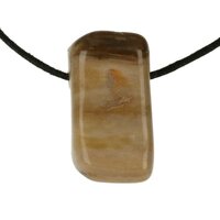 Versteend hout  doorboord + koord