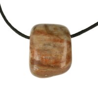 Versteend hout  doorboord + koord