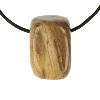 Versteend hout  doorboord + koord