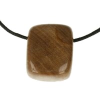 Versteend hout  doorboord + koord