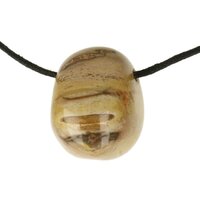 Versteend hout  doorboord + koord