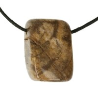 Versteend hout  doorboord + koord