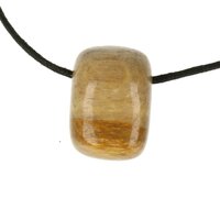 Versteend hout  doorboord + koord