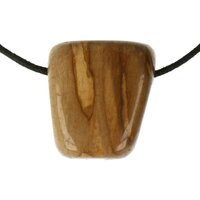 Versteend hout  doorboord + koord