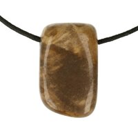 Versteend hout  doorboord + koord