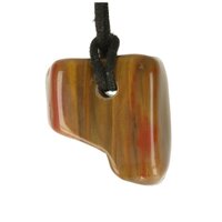 Versteend hout  doorboord + koord