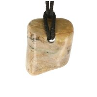 Versteend hout  doorboord + koord