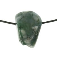 Mosagaat doorboord + koord