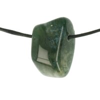 Mosagaat doorboord + koord