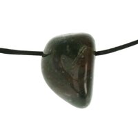 Mosagaat doorboord + koord