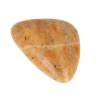 Orchidee-of-vuurcalsiet platte steen