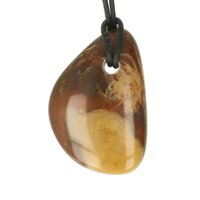 Regenboog Jaspis doorboord + koord