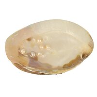 Parelmoeren Schelp met Parels