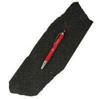 Shungit anti stralingsplaat voor GSM (anti-elektrosmog schijven) uit Karelië.