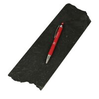 Shungit anti stralingsplaat voor GSM (anti-elektrosmog schijven) uit Karelië.