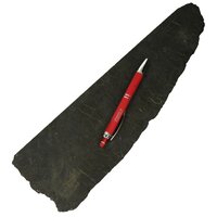 Shungit anti stralingsplaat voor GSM (anti-elektrosmog schijven) uit Karelië.