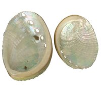 Abalone schelp (2 stuks )