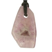 Auralite doorboord incl koord