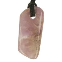 Auralite doorboord incl koord