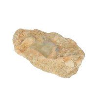 Versteend Hout met Opaal uit Australië