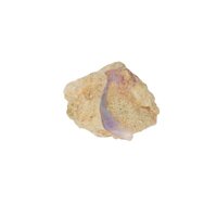 Versteend Hout met Opaal uit Australië