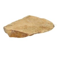 Versteend Hout met Opaal uit Australië