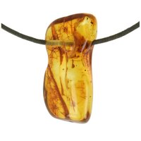  BARNSTEEN (BALTISCHE) Doorboord + koord