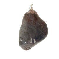 Richteriet bustamiet