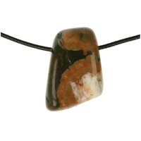 REGENWOUDJASPIS doorboord + koord